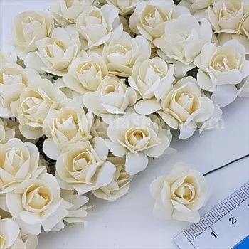 گل کاغذی